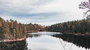 Превью обои озеро, деревья, ель, лес, небо