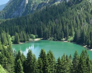 Превью обои озеро, деревья, гора, природа