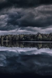 Превью обои озеро, деревья, горизонт, отражение, облака, темный, пасмурно