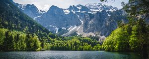 Превью обои озеро, деревья, горы, природа