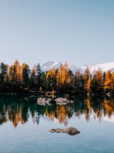 Превью обои озеро, деревья, горы, камни, пейзаж