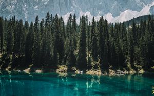 Превью обои озеро, деревья, горы, отражение, пейзаж