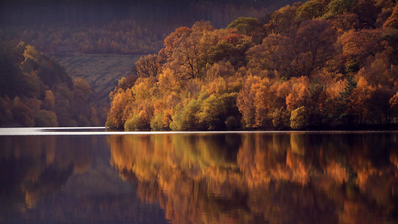 Обои озеро, деревья, лес, отражение, пейзаж, осень