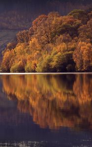 Превью обои озеро, деревья, лес, отражение, пейзаж, осень