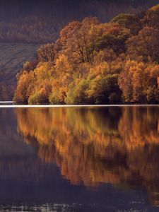 Превью обои озеро, деревья, лес, отражение, пейзаж, осень