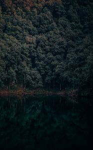 Превью обои озеро, деревья, лес, отражение, бегнас, лехнат, непал