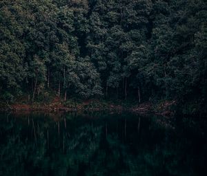 Превью обои озеро, деревья, лес, отражение, бегнас, лехнат, непал