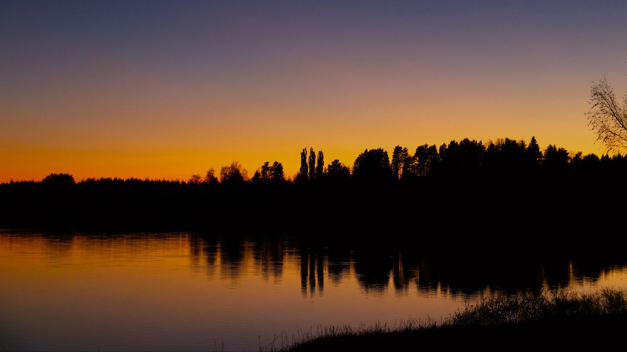 Обои озеро, деревья, лес, закат