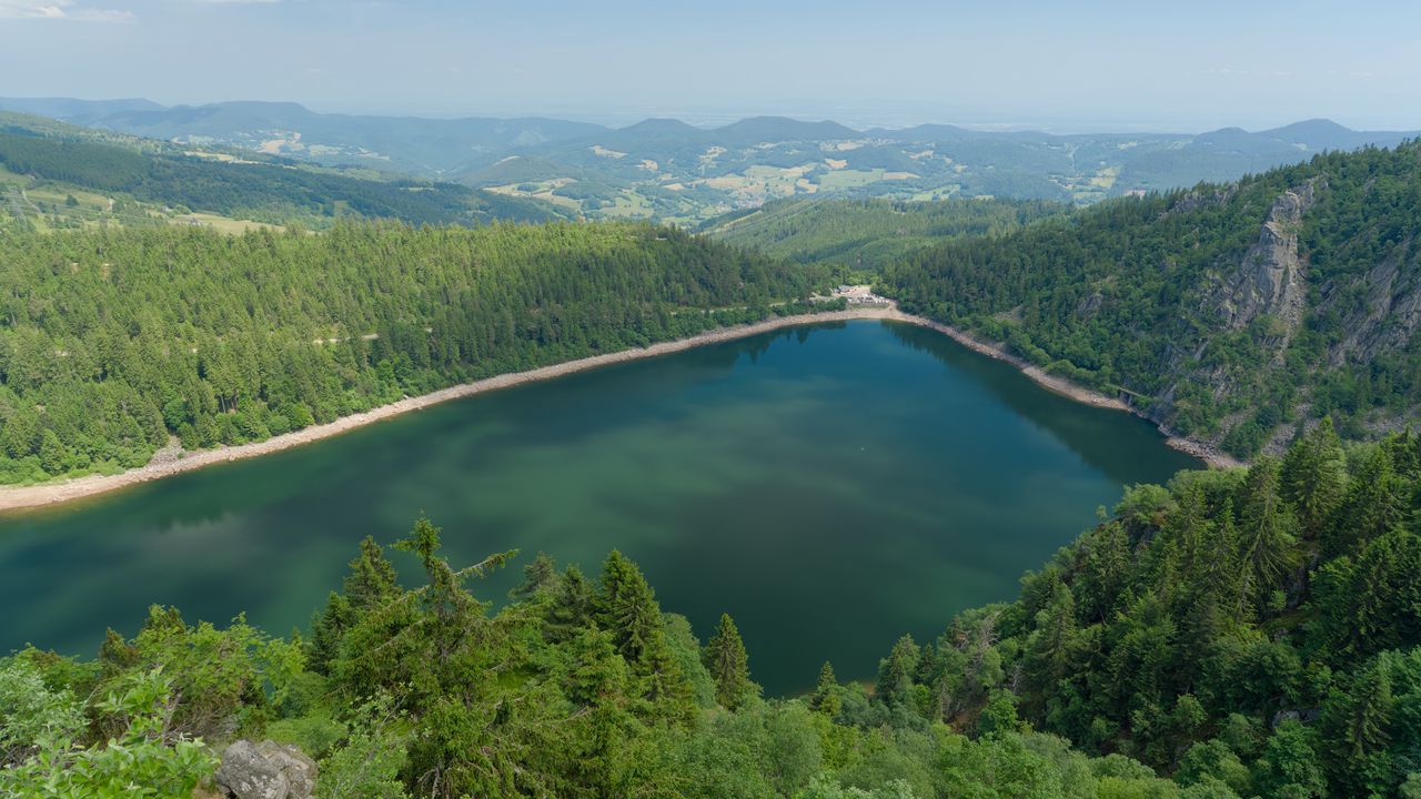 Обои озеро, деревья, лес, природа, облака, пейзаж