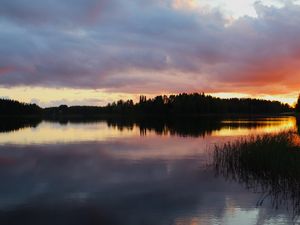 Превью обои озеро, деревья, лес, облака, небо, закат, пейзаж, темный