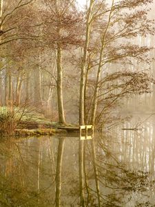 Превью обои озеро, деревья, лес, отражение, туман