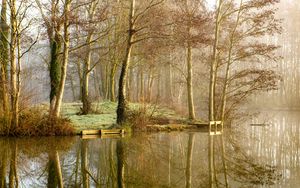 Превью обои озеро, деревья, лес, отражение, туман