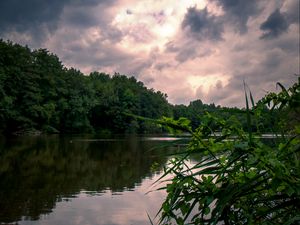 Превью обои озеро, деревья, облака, пейзаж