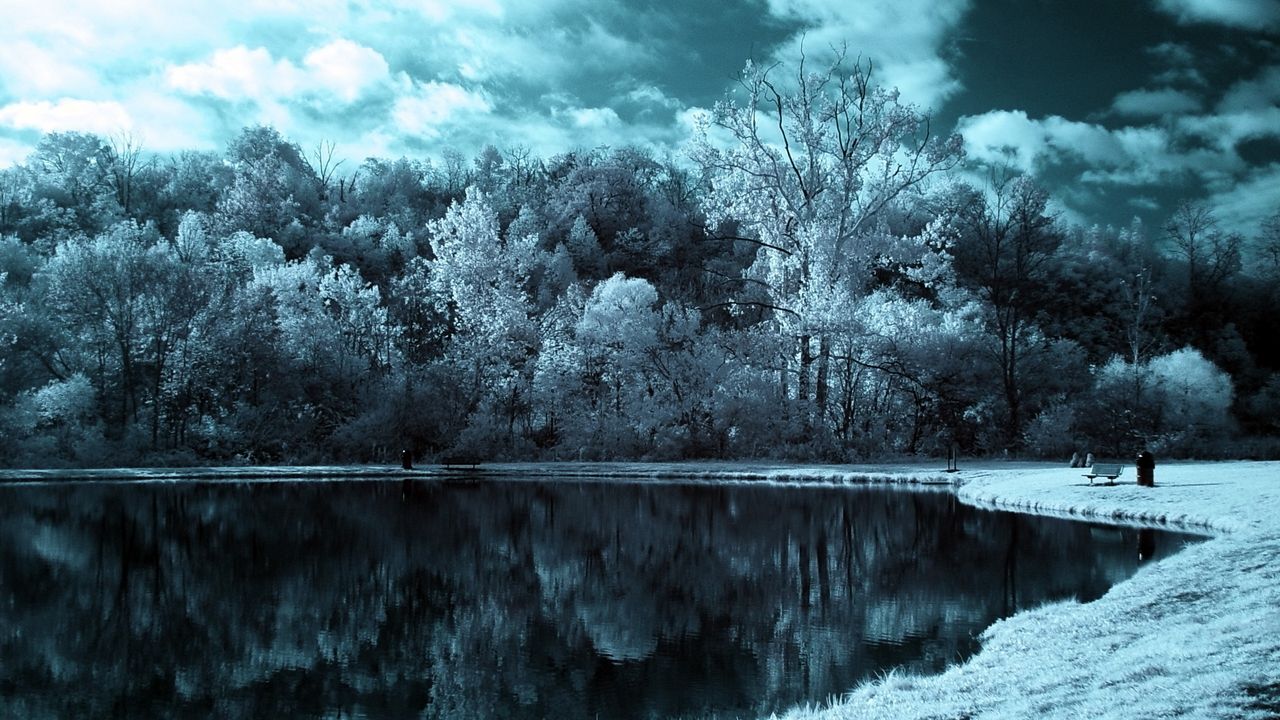 Обои озеро, деревья, облака, мрачные, черно-белые