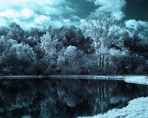 Превью обои озеро, деревья, облака, мрачные, черно-белые