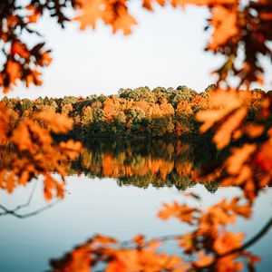 Превью обои озеро, деревья, осень, берег, пейзаж