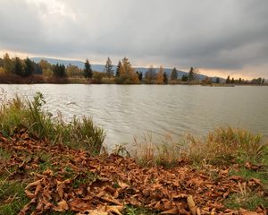 Превью обои озеро, деревья, осень, листья