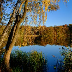 Превью обои озеро, деревья, осень, пейзаж, отражение