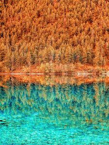 Превью обои озеро, деревья, отражение, hdr