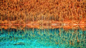Превью обои озеро, деревья, отражение, hdr