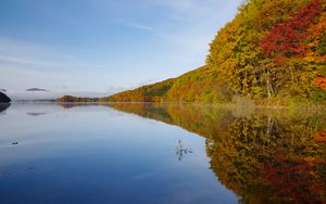 Превью обои озеро, деревья, отражение, осень