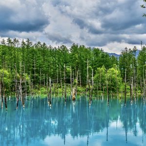 Превью обои озеро, деревья, отражение