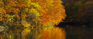 Превью обои озеро, деревья, отражения, осень, пейзаж