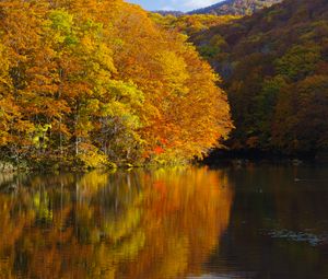 Превью обои озеро, деревья, отражения, осень, пейзаж