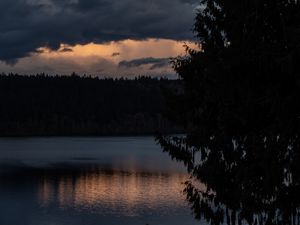 Превью обои озеро, деревья, силуэты, луна, ночь