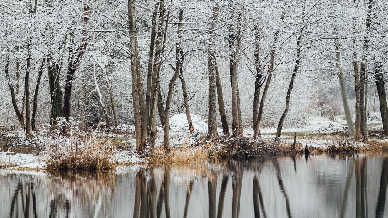 Обои озеро, деревья, снег, вода, отражение, зима