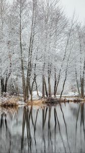 Превью обои озеро, деревья, снег, вода, отражение, зима