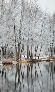 Превью обои озеро, деревья, снег, вода, отражение, зима