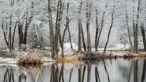 Превью обои озеро, деревья, снег, вода, отражение, зима