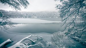 Превью обои озеро, деревья, снег, зима, природа, белый
