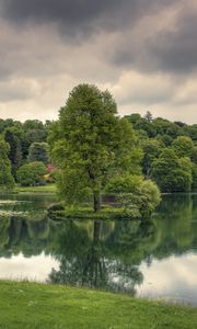 Превью обои озеро, деревья, трава, облачно, отражение