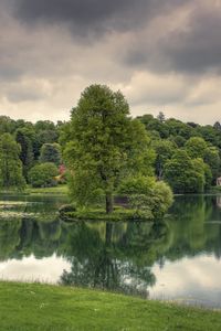 Превью обои озеро, деревья, трава, облачно, отражение