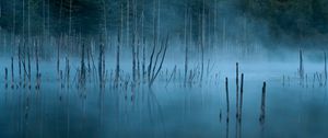 Превью обои озеро, деревья, туман, вода