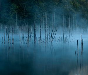 Превью обои озеро, деревья, туман, вода