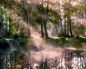 Превью обои озеро, деревья, туман, солнечный свет, утро