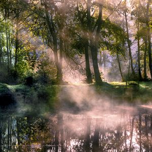 Превью обои озеро, деревья, туман, солнечный свет, утро