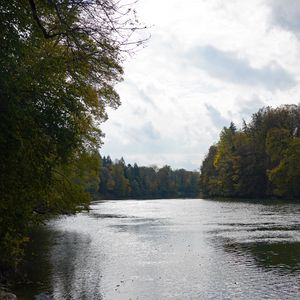 Превью обои озеро, деревья, ветки, вода