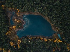 Превью обои озеро, деревья, вид сверху
