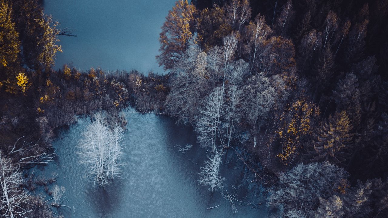 Обои озеро, деревья, вид сверху, осень, иней