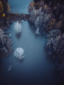Превью обои озеро, деревья, вид сверху, осень, иней