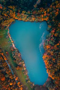Превью обои озеро, деревья, вид сверху, осень, венгрия