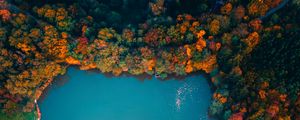 Превью обои озеро, деревья, вид сверху, осень, венгрия