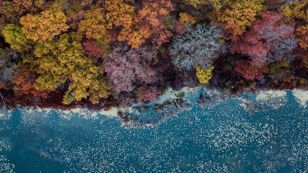 Обои озеро, деревья, вид сверху, осень, краски осени