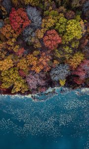 Превью обои озеро, деревья, вид сверху, осень, краски осени