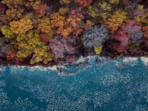 Превью обои озеро, деревья, вид сверху, осень, краски осени
