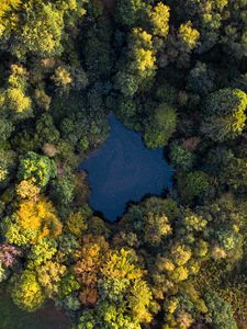 Превью обои озеро, деревья, вид сверху, лес, вода, осень